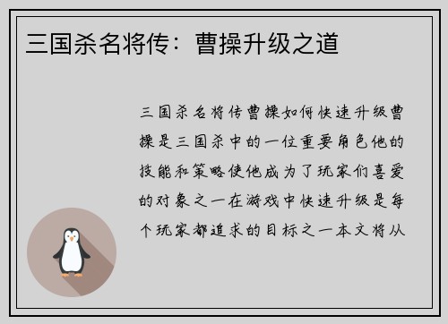 三国杀名将传：曹操升级之道